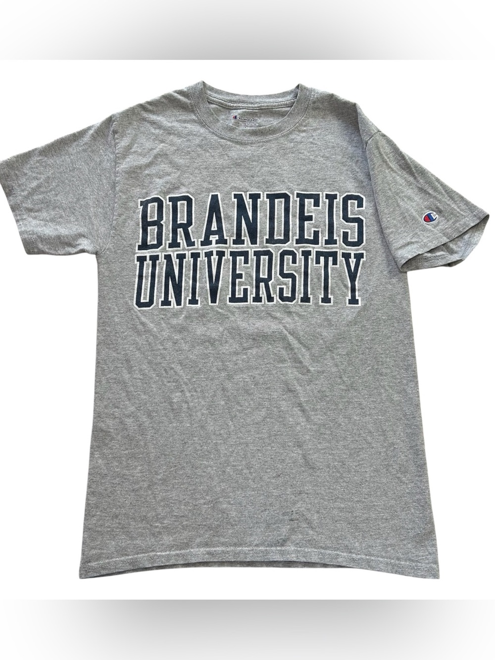 Champion Brandeis University Judges Men’s T-Shirt Gray Spellout NCAA size Small